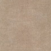 Orinoco 22